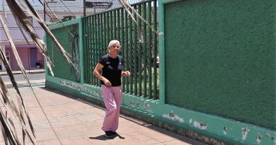 Dulce Méndez Morales
