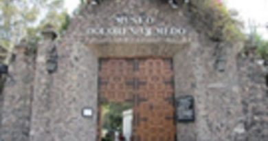 Museo Dolores Olmedo