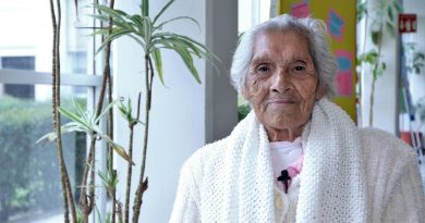 Fernanda Jarillo Hernández