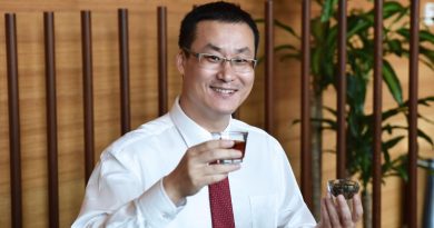 Profesor Asistente Feng Lei
