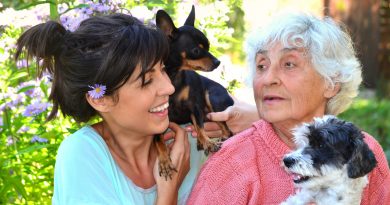 beneficios de animales de compañía para las y los adutos mayores