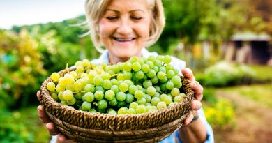 uvas
