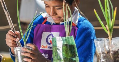 Niño sembrando una planta