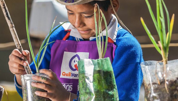 Niño sembrando una planta