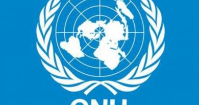 Cartel de la ONU del Día Internacional de las Familias.