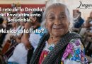 El reto de la Década del Envejecimiento Saludable, ¿México está listo?